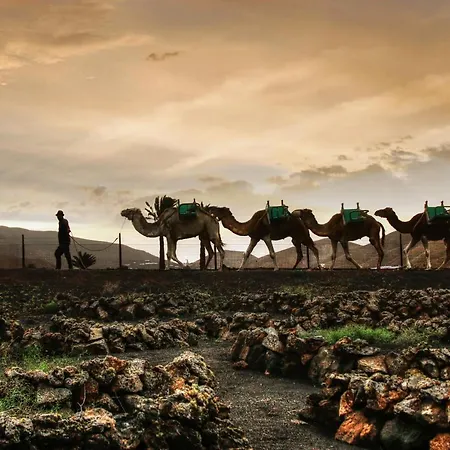 Home2book Sunshine Playa Blanca, Terrace Πλάγια Μπλάνκα