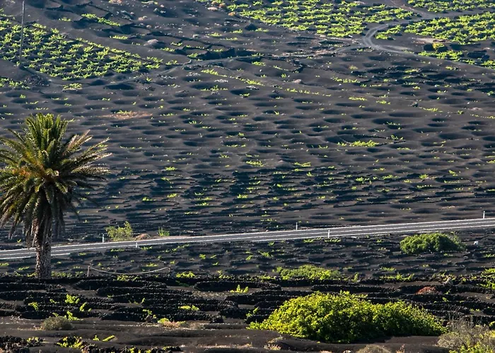 Home2book Sunshine Playa Blanca, Terrace * פלאיה בלנקה